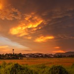 Пять минут с Красотой…