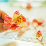 Мысли от «флориста»  :-)
