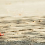 Учусь водить мотоцикл…