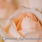 День рождения Кришны – Прекрасной Реальности